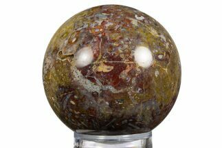 Colorful Polished Petrified Palm Root Sphere - Indonesia #330135