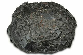 Dragon Scale Stone (Iron, Manganese, Siderite Nodule) #330313