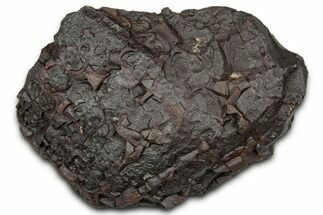 Dragon Scale Stone (Iron, Manganese, Siderite Nodule) #330329