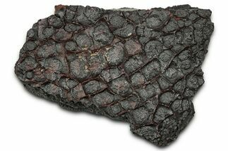 Dragon Scale Stone (Iron, Manganese, Siderite Nodule) #330331