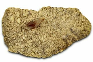 Honey Colored Barite Crystal on Fluorescent Calcite - Elk Creek #330371