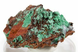Fibrous Malachite and Calcite on Limonite Matrix - Mexico #330577