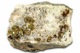 Andradite-Grossular Garnet Cluster with Clinochlore - Mali #330503