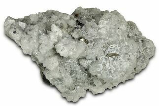 Calcite Crystal Cluster with Pyrite on Lustrous Galena - Mexico #330567