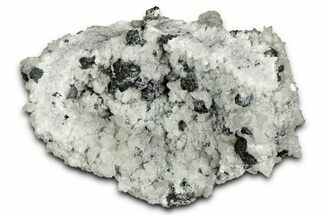 Scalenohedral Calcite Crystal Cluster with Pyrite - Mexico #330573