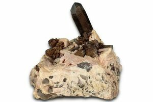 ビリヤードタップ Moori  Garnet MH | 積層タップ z2zed1b タップ モーリ・Moori商品一覧｜ビリヤード 通販 キューショップ