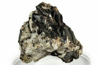 Dark Brown Niobophyllite on Feldspar and Smoky Quartz - Malawi #330863