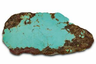 Polished Turquoise Section - Number Mine, Carlin, NV #331193