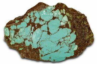Polished Turquoise Section - Number Mine, Carlin, NV #331194