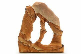 Tall Picture Sandstone Arch - Arizona #331154