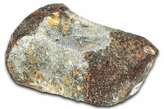 Dinosaur (Thescelosaurus) Partial Caudal Vertebra - Montana #331251