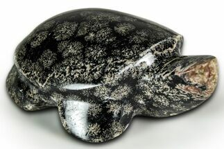 Polished Snowflake Rhyolite Turtle - Mexico #331635