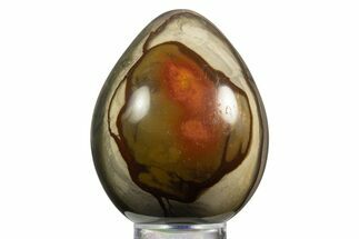 Polished Polychrome Jasper Egg - Madagascar #331745