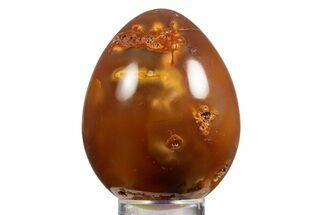 Vibrant Polished Carnelian Agate Egg - Madagascar #331752