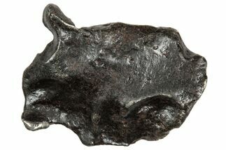 Fusion Crusted Sikhote-Alin Iron Meteorite ( g) - Russia #333098