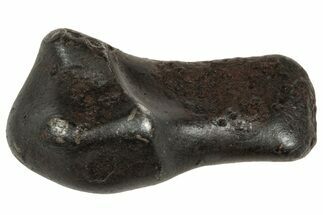 Fusion Crusted Sikhote-Alin Iron Meteorite ( g) - Russia #333114