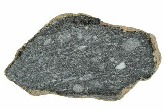 Polished Lunar Meteorite ( g) End Cut Slice - NWA #333150