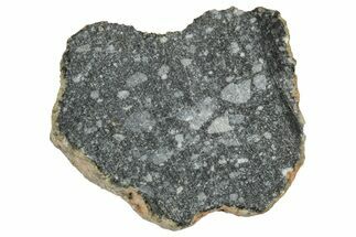 Polished Lunar Meteorite ( g) End Cut Slice - NWA #333154
