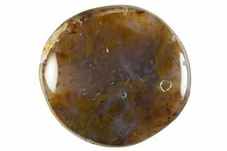 Polished Ocean Jasper Stone - Madagascar #330014