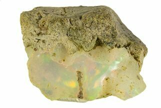 Brilliant Precious Ethiopian Fire Opal ( grams) #333427