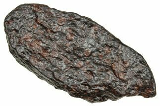 Carbonaceous Chondrite Meteorite ( g) - NWA #334332