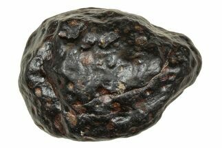 Carbonaceous Chondrite Meteorite ( g) - NWA #334359