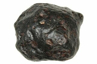 Carbonaceous Chondrite Meteorite ( g) - NWA #334362