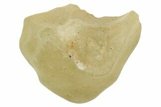 Libyan Desert Glass ( g) - Meteorite Impactite #334434