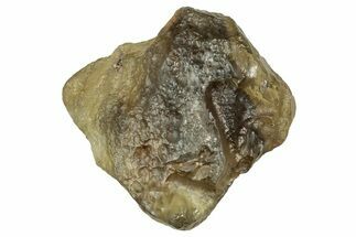 Libyan Desert Glass ( g) - Meteorite Impactite #334447