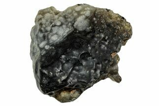 Libyan Desert Glass ( g) - Meteorite Impactite #334450