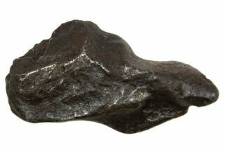 Fusion Crusted Sikhote-Alin Iron Meteorite ( g) - Russia #334607