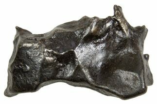 Fusion Crusted Sikhote-Alin Iron Meteorite ( g) - Russia #334615