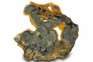 Colorful Polished Marcasite Agate Slab - Indonesia #334897