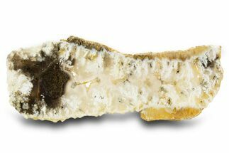 Polished Nydegger Plume Agate Slab - Oregon #334904
