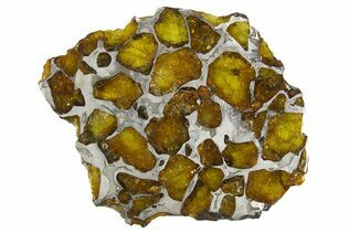 Imilac Pallasites For Sale