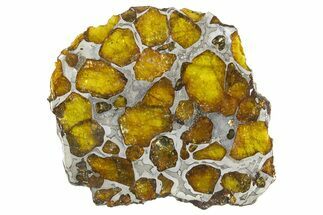 Polished Imilac Pallasite Meteorite ( g) Slice #334649