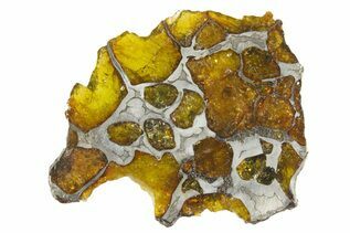 Pallasite Meteorites For Sale