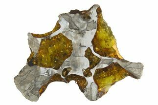 Polished Imilac Pallasite Meteorite ( g) Slice #334653