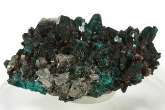 Gemmy Dioptase Crystal Cluster - Sanda, Congo #335193