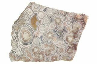 Polished Crazy Lace Agate Slab - Mexico #335038