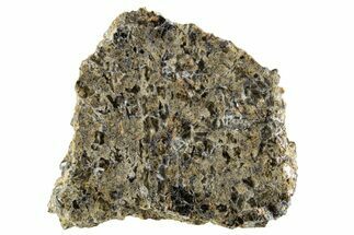 Martian Shergottite Meteorite ( g) Slice - NWA #335316