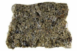 Martian Shergottite Meteorite ( g) Slice - NWA #335318