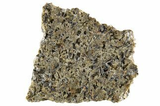 Martian Shergottite Meteorite ( g) Slice - NWA #335332