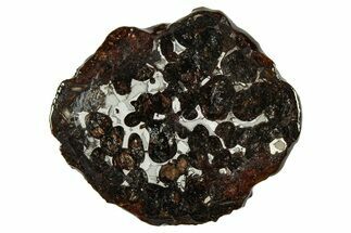 Sericho Pallasite Meteorite ( g) Slice - Kenya #335758