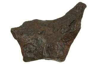 Canyon Diablo Iron Meteorite ( g) - Arizona #335961