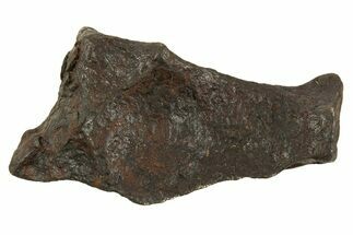 Canyon Diablo Iron Meteorite ( g) - Arizona #335975