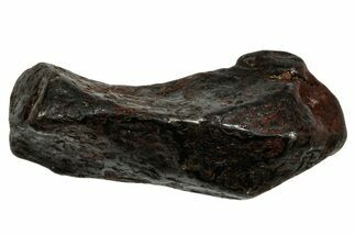 Canyon Diablo Iron Meteorite ( g) - Arizona #336005