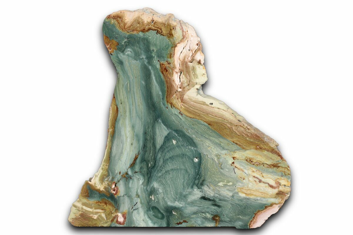 （greentomato）クレイユ　レリーフ 4.6