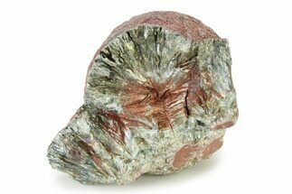 Rough Botryoidal Seraphinite Specimen - Siberia #336480