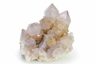 Lustrous Cactus Quartz Crystal Cluster - South Africa #336758